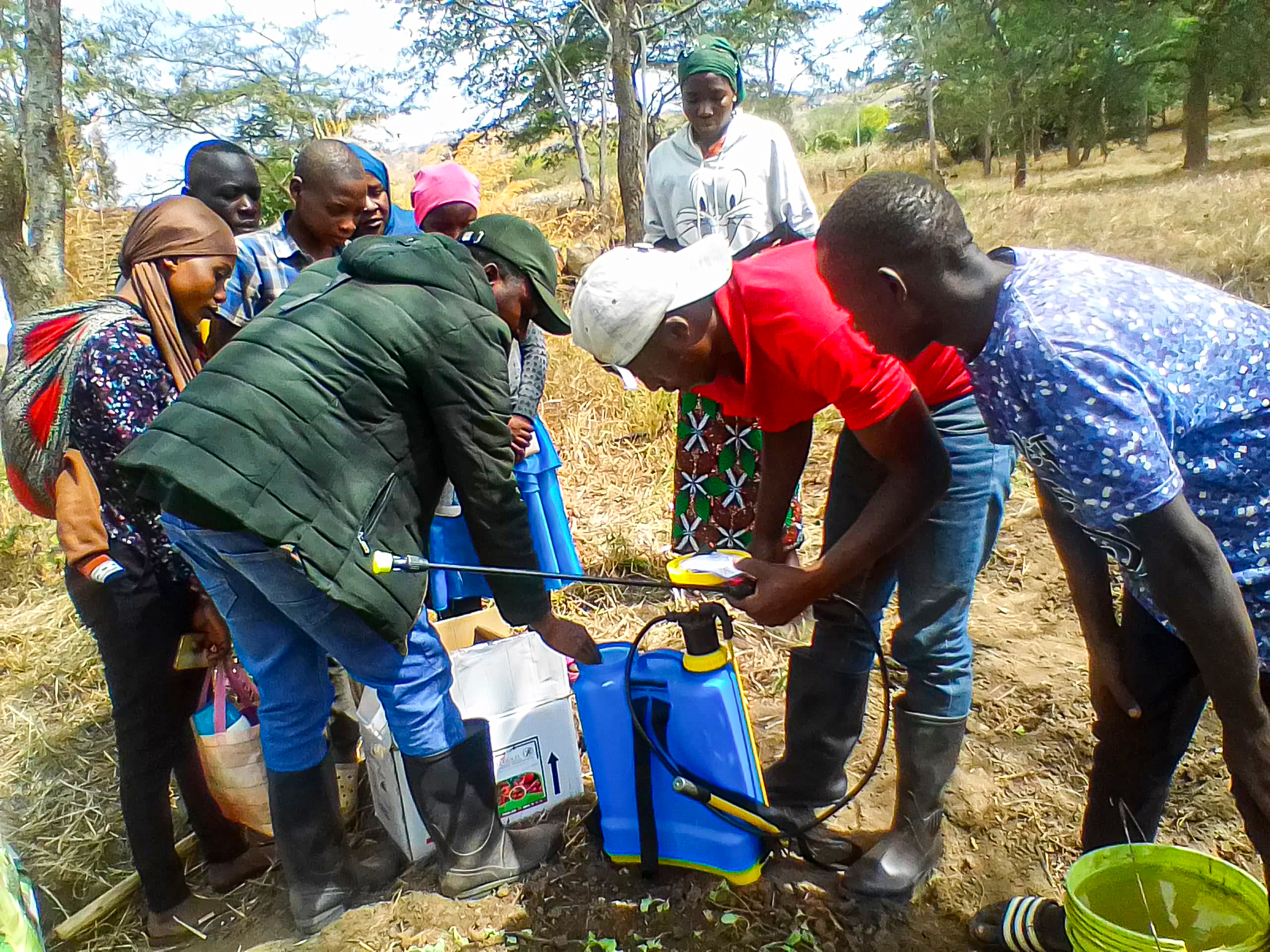 Flying Dream working with partners